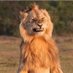 Duane Long (@dlongphoto) Twitter profile photo Duane Long (@dlongphoto) Twitter profile photo