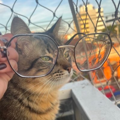 sindarshian1's profile picture. i can't save us, my atlantis.