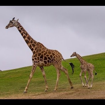 eroticgal1's profile picture. A  Content Creator, Social Commentator