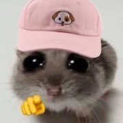 ifuofey's profile picture. did u get your hamster ?