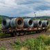 Bruno Rail Enthusiast (@eco_railfan) Twitter profile photo Bruno Rail Enthusiast (@eco_railfan) Twitter profile photo