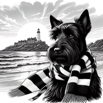 flob57's profile picture. #EmojiBZH Breton ⚓️ Bus driver, love Country music 🎸 , animals 🐶🐱 and Brittany 🌊 #bzh #bretagne