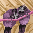 Lilly Ramos - @LillyR56418 - Twitter