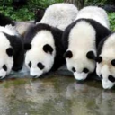 Bret Dennis - @BretDennis1 - Twitter