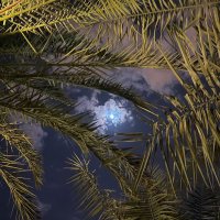 ﾟ☾ ℝ (@ri_m10) Twitter profile photo