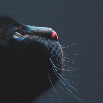 Lars_Plus's profile picture. !!