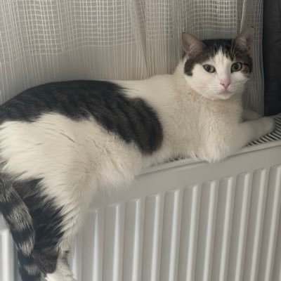 oteberiydiii's profile picture. parmak uçlarını kazıtan kadın