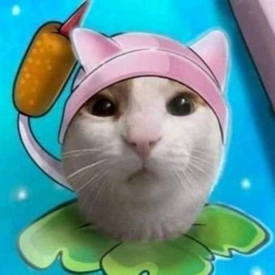 al3xxtw's profile picture. 🫣
🏳️‍🌈
