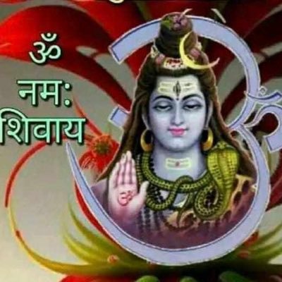 SpesaP's profile picture. 