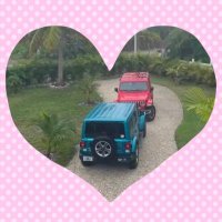 GR Jeeps N Stuff (@grjeepsnstuff) 's Twitter Profile