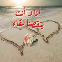 عاشق الصمت الملكي (@alsmtashq46822) Twitter profile photo