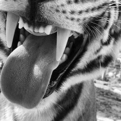 fairyhind's profile picture. @fairyhnd