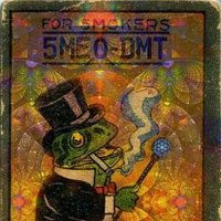 Microdosing psilocybin 🍄 (@microdosing_mus) Twitter profile photo