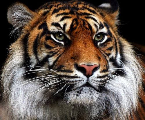 hgarzajr's profile picture. 