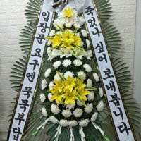 근조화환 총공 계정 (@blessyouhybe) 's Twitter Profile Photo 근조화환 총공 계정 (@blessyouhybe) 's Twitter Profile Photo