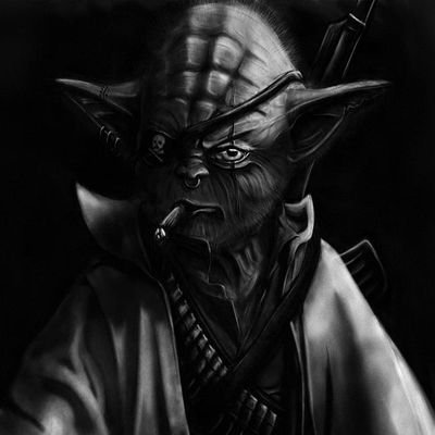 Tbone295's profile picture. Bear Down✌🏽