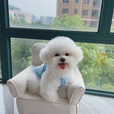 Yang07431137's profile picture. 人間というのは、状況がいいときはいい人なんですが、状況が悪いときにこそ、その人の本質が問われるんです。