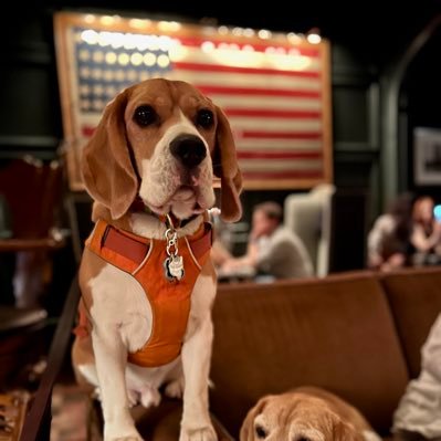 Mateo_in_ATX's profile picture. Find me here:  @mateoatx.bsky.social