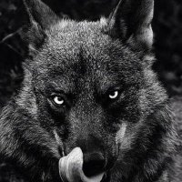 Kincaid Inc. (@kevinjenki74453) 's Twitter Profile