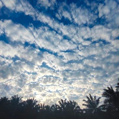 Novia_Agus_Tina's profile picture. 