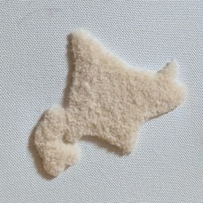 azimiMoto's profile picture. 猫の奴隷です
🧶 https://t.co/B3fC6WwSIA