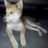 milki's profile image