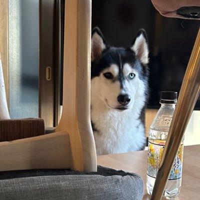 クレげにどハマり中のアラフォーです。むっすめ5とむっすこ1をたまに引き連れてクレげしにウロウロしとります。私自身はなかなかうまくなりません(泣)ゲームは主に第五人格とロマサガで、クレげ、編み物を中心にボソボソ言います。2回坊主にしたおかげ?か天パーがより一層ひきたつ今日この頃。
