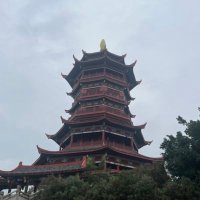Guo (@guog7788) 's Twitter Profile