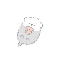 harinezumi_kawaii (@p3ngu1n_k4wa11) 's Twitter Profile