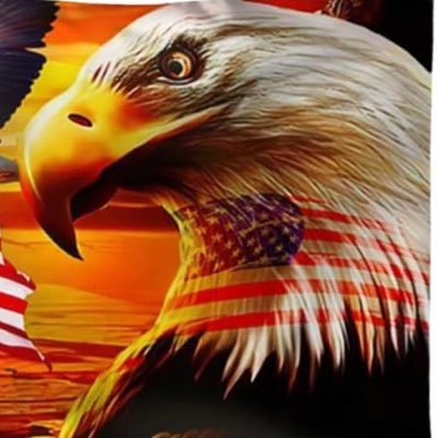 Crypto_XVG's profile picture. 