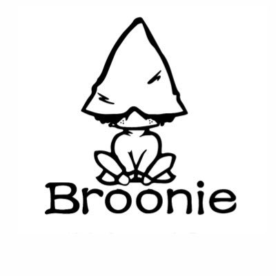 broonie_info's profile picture. 