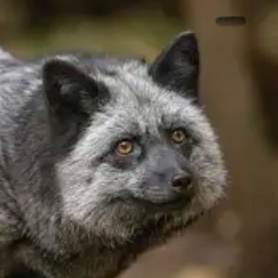 SeattlSeahawks's profile picture. man these are definitely the tweets for you

Currently working on my passion project, a magazine for Men who weigh 280+ lbs called "Husky Gentleman"