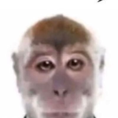 covix2772's profile picture. sufi to goofies