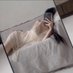 may🇭🇰 (@upirachmawati) Twitter profile photo may🇭🇰 (@upirachmawati) Twitter profile photo
