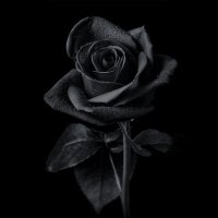 L3XTASY (@l3xtasy) 's Twitter Profile Photo L3XTASY (@l3xtasy) 's Twitter Profile Photo
