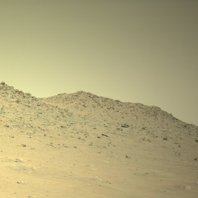 MetaCrisisBR's profile picture. 