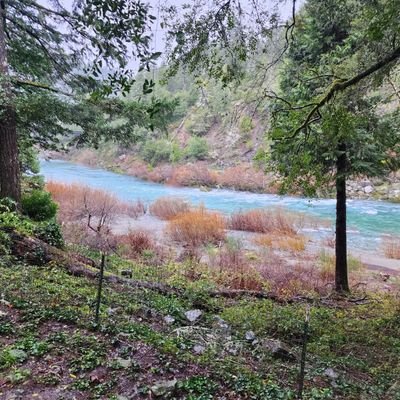 RayHerrmann3's profile picture. 