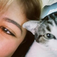 daniela (@danielaaryoshi) 's Twitter Profile Photo daniela (@danielaaryoshi) 's Twitter Profile Photo