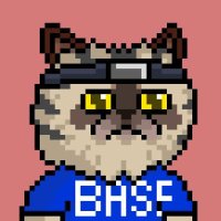 Parabullic 😼⚡️ (@getready4wt) 's Twitter Profile