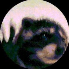 CringeReed's profile picture. IDK, just existing.