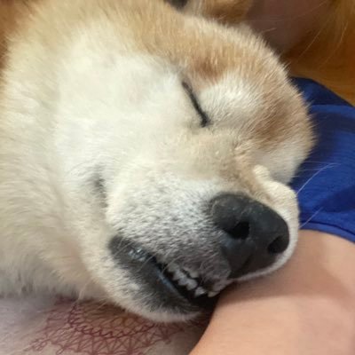 ScheERiii84's profile picture. 琉大物物の卒業生　※ツイートのほとんどは、日常生活とは全く関係ありません。