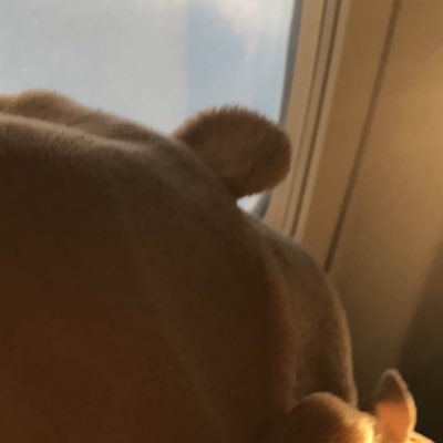 khadijaalarbi's profile picture. Medical student.
In love with Video games 
:)).Just some random girl from Libya bla  bla and I consider myself a bookworm