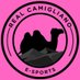 Real Camigliano eSports (@realcamigliano) Twitter profile photo Real Camigliano eSports (@realcamigliano) Twitter profile photo