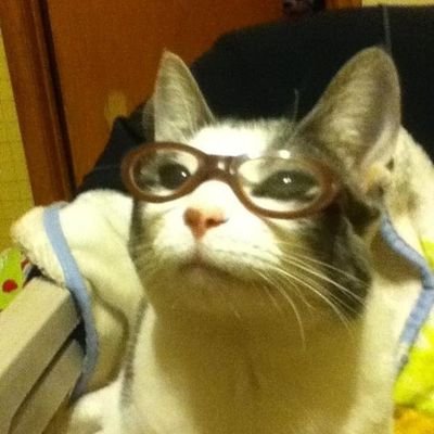 marsha76636's profile picture. 私は穏やかに暮らしたい。