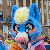 Sif (@floofy_freya) 's Twitter Profile