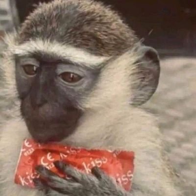 Collins54863545's profile picture. paparazzi