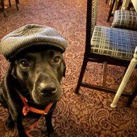Steve (@bradder63) 's Twitter Profile