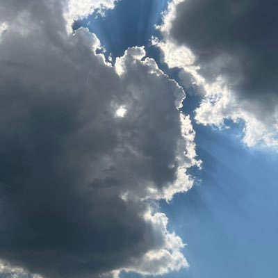 OnzoMera's profile picture. dip