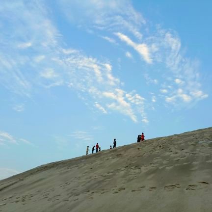 RubelHasan87330's profile picture. 