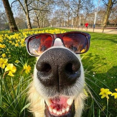 noty915's profile picture. 10 years in the blockchain field.